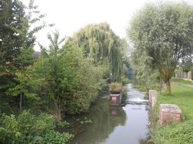 Vue sur les piliers d'un ancien pont au niveau de la rivière "la Petite Sensée"