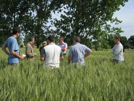 Champ de blé avec des agriculteurs et élus en discussion.