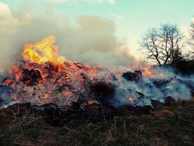 un feu dans un jardin