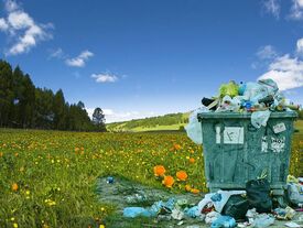 paysage montagneux avec sapins, champs de fleurs, ciel très bleu mais en premier plan un container à déchets remplis et débordant sur la nature décrite avant.