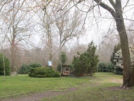 Jardin de nombreux arbres, bosquets