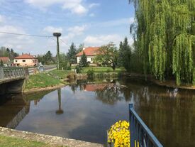 Vue d'Altorf, pont, eaux, maisons et grands arbres