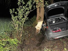 Un accident de la circulation avec un véhicule rentré dans un arbre. Le coffre arrière est ouvert.